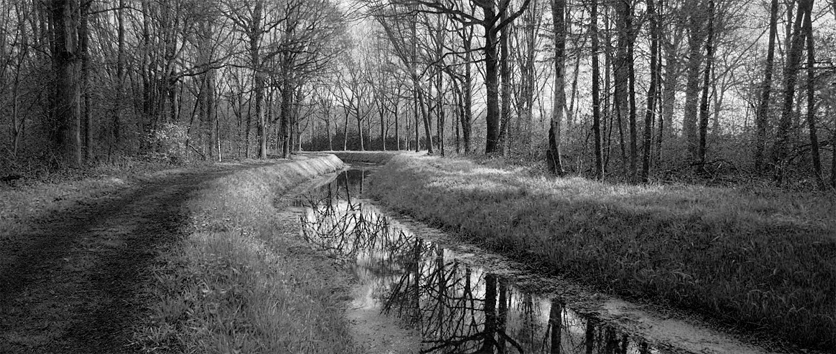 A050_C005_0101VE BW.jpg A050_C005_0101VE BW.jpg